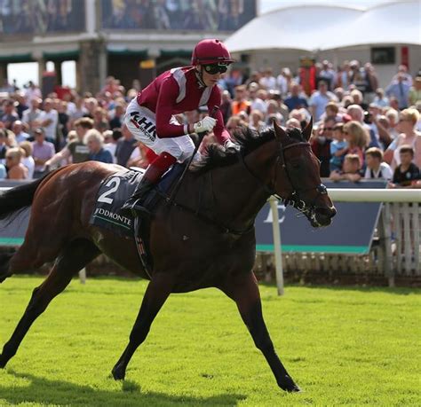 Ebor Festival Guide: Tips, videos, dress code, Sky Bet odds and .